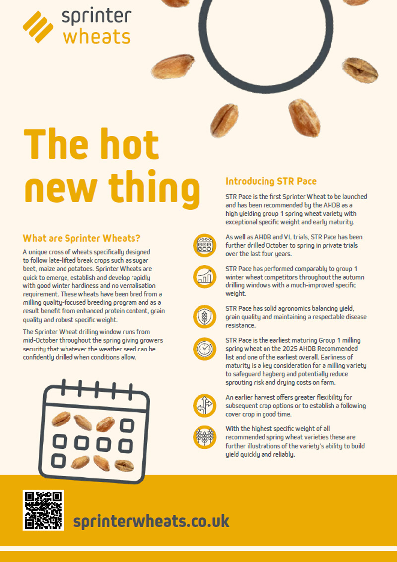 Sprinter Wheats Leaflet