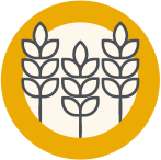 Wheat icon